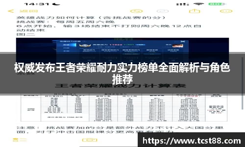 权威发布王者荣耀耐力实力榜单全面解析与角色推荐